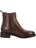 palado Stiefeletten in dk brown