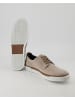 Pius Gabor Sneaker low in Beige