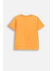 Coccodrillo Baumwoll-T-Shirt mit kurzen Ärmeln in orange