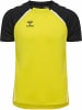 Hummel Sportshirt "Lead 2.0 Jersey S/S" in Gelb