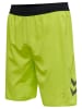 Hummel Hummel Shorts Hmllead Multisport Erwachsene Dehnbarem in LIME PUNCH