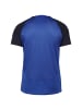 Nike Performance Trainingsshirt Academy Pro in blau / schwarz