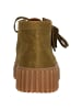 Clarks Schnürstiefelette Torhill Moss in 3227 Olive Suede