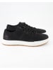 Timberland Sneaker low in Schwarz