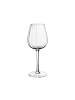 Villeroy & Boch 12er Set Wein- und Sektgläserset Rose Garden in transparent