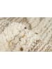 Kayoom Kurzflor Teppich Bohist 425 in creme - khaki - quadratisch
