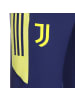 adidas Performance Trainingshose Juventus Turin in blau / gelb