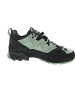AKU Rock DFS GTX Ws Wanderschuh Grün