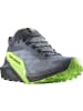 SALOMON Laufschuh SENSE RIDE 5 GORE-TEX in flint stone/black/green gecko