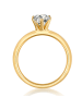 Trilani Ring aus Sterling Silber mit Zirkonia in gelbgold