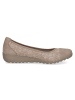 Caprice Ballerinas in mud comb
