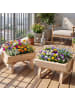 COSTWAY 2er Set Hochbeet aus Holz 39 x 30 x 24 cm in Hellbraun