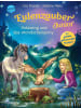 Arena Buch - Eulenzauber Junior (1). Goldwing und das Mondscheinpony