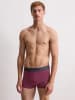 Marc O'Polo Retro Pants Trunk Essentials in navy/grey mel/cherry lacquer