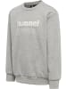 Hummel Trainingsanzug Hmlnew Spring Tracksuit in LIGHT GREY MELANGE