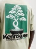 Jack & Jones T-shirt in Desert Sage