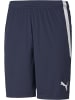 Puma Sporthose "TeamLIGA Shorts" in Blau