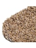 Astra Fußmatte waschbar ENTRA 2ER SET in Beige