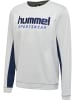 Hummel Sweatshirt Hmllgc Wesley Erwachsene in HARBOR MIST