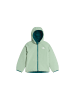North Face Jacke NF0A88VJN4J1 Grün