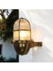 Licht-Erlebnisse Außen Wandlampe (B)11.5 x (H)18 cm in Messing
