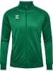 Hummel Reißverschluss Anzug Playful Tracksuit Erwachsene in EVERGREEN