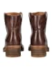 Pavement Stiefelette JENNY VINTAGE in Braun