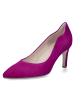 Gabor Pumps in Lila