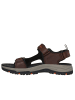 Skechers Sandalen PREWITT-RIGDON in brown/black