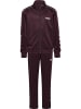 Hummel Verstellbare Taille Anzug Hmljr Tracksuit Lebensstil Kinder in FUDGE