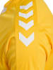Hummel T-Shirt Hmlcore Herren in SPORTS YELLOW