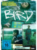 aLiVe Film - Bird