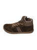 KOEL Sneaker High DREW FELT in grün
