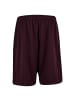Karl Kani KK Insignia Shadow Pinstripe Soccer Shorts in Bordeaux