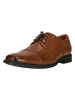 Clarks Schnürschuhe Tilden Cap in 5234 Dark Tan Lea