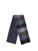 Wittchen Scarf in Multicolor 3