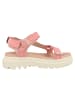 Palladium Sandale Pallacruise Strap in rosa
