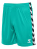 Hummel Kurze Hose Playful Shorts Erwachsene in ATLANTIS