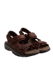 Clarks Sandalen in Brown