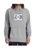 DC Shoes Sweatshirt in Grau