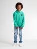 Petrol Industries Logo Hoodie Ozark in Grün