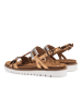 ara Riemchensandalette in braun