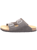 Camel Active Pantolette in grau