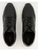 Geox Sneaker low in Schwarz