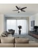 Globo lighting Ventilator "FABIOLA" in silver