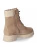 Högl Winterschnürstiefeletten in beige