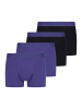 Bruno Banani Retro Short / Pant Flowing in Schwarz / lila