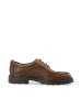 Bianco Derby-Schuhe aus Leder in Tan1