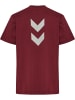 Hummel Hummel T-Shirt Hmljr Graphic Kinder in CHOCOLATE TRUFFLE