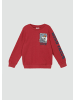 s.Oliver Sweatshirt in 3407_rot